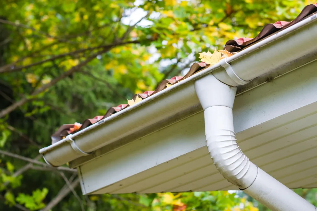 Expert gutters are cleaned to keep the drainage systems of your home free from any obstruction and to prevent water damage throughout the year.
